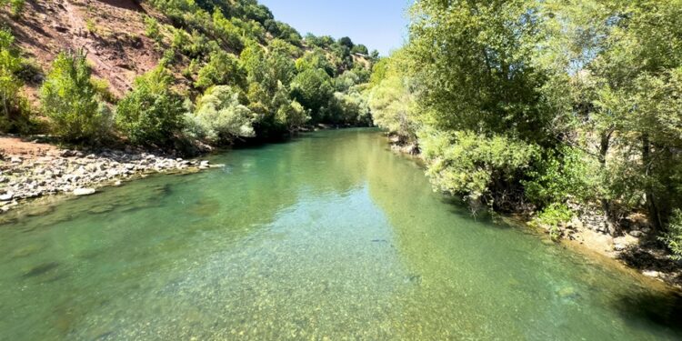 Ilha fluvial com cerca de 20 mil quilômetros quadrados é a maior do mundo e fica no Brasil