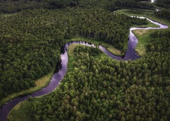 Rio Amazonas abastece o Oceano Atlântico com 6.700 quilômetros cúbicos de água doce todos os anos