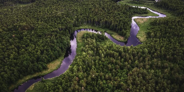 Rio Amazonas abastece o Oceano Atlântico com 6.700 quilômetros cúbicos de água doce todos os anos