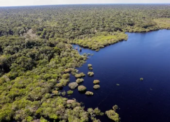 Cientistas informam condição do oceano que pode reduzir chuvas na Amazônia