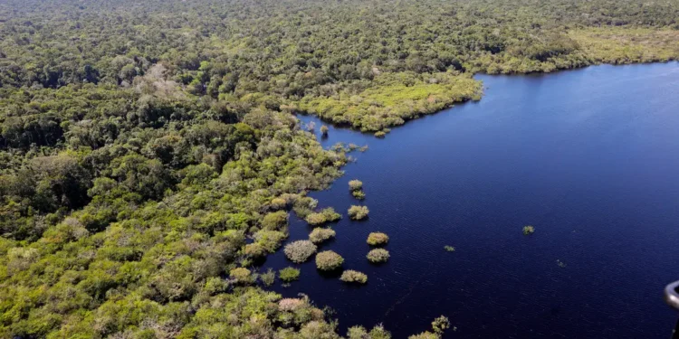 Cientistas informam condição do oceano que pode reduzir chuvas na Amazônia