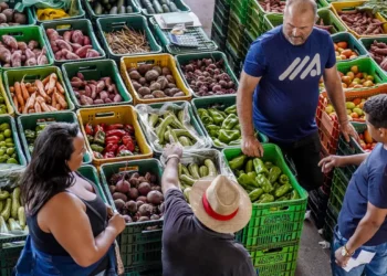 Fruta do dragão rapidamente virou queridinha do Brasil rendendo milhões