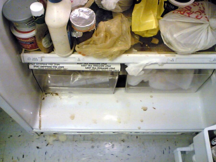Geladeira suja pode atrair baratas