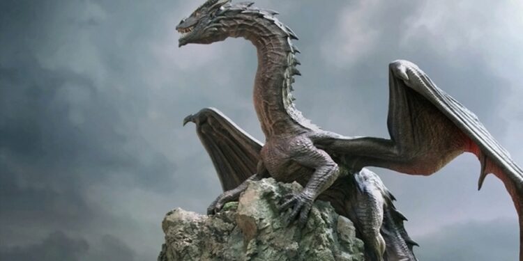 Dragões venenosos que muitos pensavam nem existir voltam a assombrar banhistas no litoral da Espanha