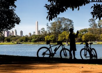 Fortaleza prepara novas rotas de ciclovias arborizadas ao longo de 50 quilômetros
