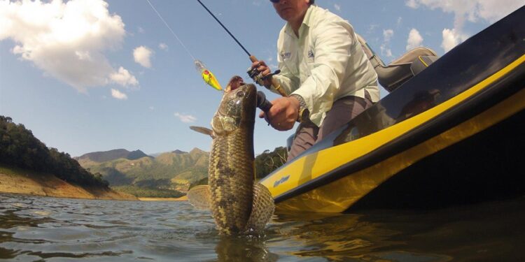 São Paulo abriga cidade considerada o paraíso da pesca esportiva