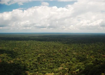 Lugar mais alto do Brasil só pode ser acessado com autorização especial e guia