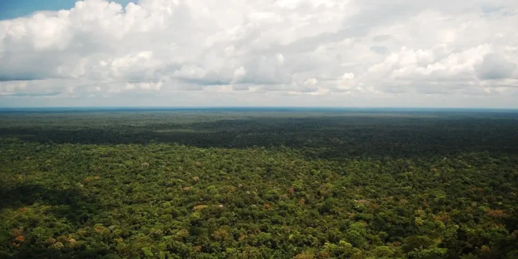 Lugar mais alto do Brasil só pode ser acessado com autorização especial e guia