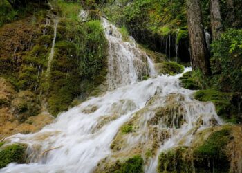 Cachoeira com 35 metros de altura recém descoberta encanta visitantes no Amazonas