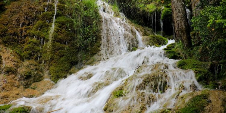 Cachoeira com 35 metros de altura recém descoberta encanta visitantes no Amazonas