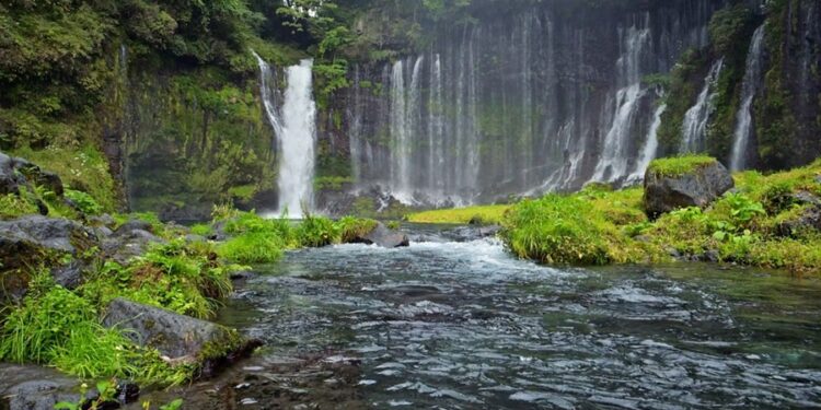 Fenômeno inédito é registrado em MS: Espécie de peixe consegue escalar cachoeiras de 4 metros
