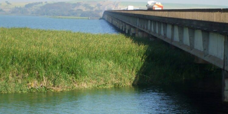 Maior ponte do estado de São Paulo terá ferrovia e vai ligar duas cidades