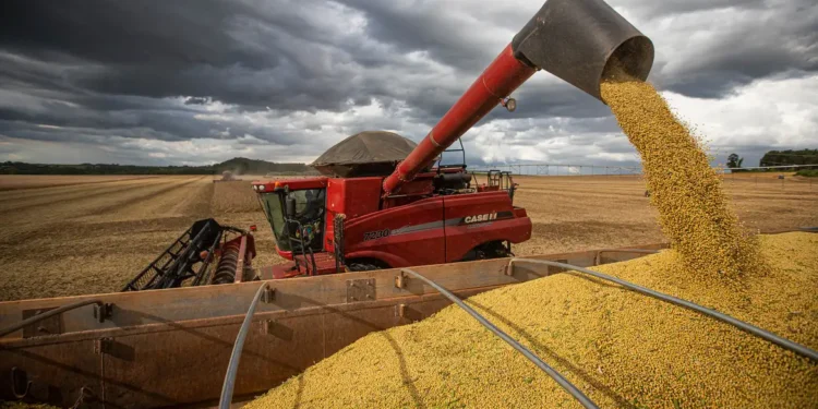 Rei da Soja era dono de 300 mil hectares de terra e comandava 40 empresas