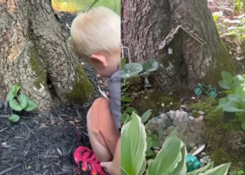 Criança faz amizade com animal que vivia dentro de árvore e recebe ajuda da mãe para fazer uma casa ao amigo