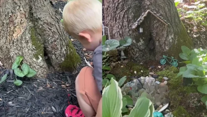 Criança faz amizade com animal que vivia dentro de árvore e recebe ajuda da mãe para fazer uma casa ao amigo