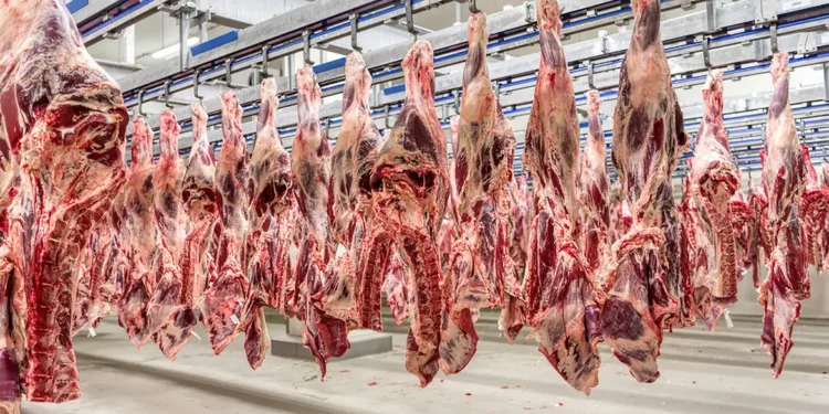 Brasil passa a fornecer carne bovina a países que exportam para os Estados Unidos
