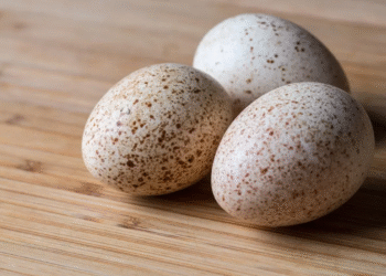 Ave volta a procriar após mais de um século dada como extinta