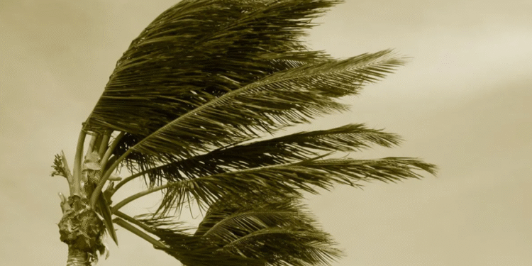 Ciclone com ventos de 80 km/h é previsto para o feriado de 12 de outubro: Saiba quais regiões serão atingidas