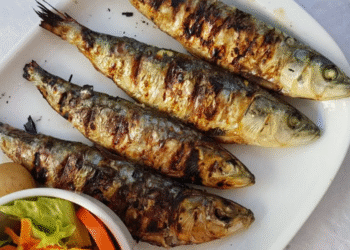 Peixe mais saudável para refeições deixa sardinha e cavalinha para trás