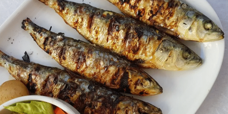 Peixe mais saudável para refeições deixa sardinha e cavalinha para trás