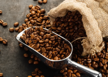 Nem São Paulo, nem Minas Gerais: Terra do Café fica na cidade mais fria e alta do Nordeste