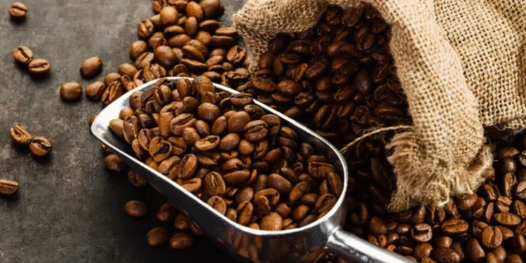 Nem São Paulo, nem Minas Gerais: Terra do Café fica na cidade mais fria e alta do Nordeste