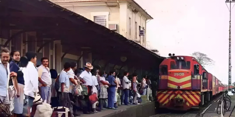 Trem do Pantanal é considerado o trajeto ferroviário mais charmoso América do Sul