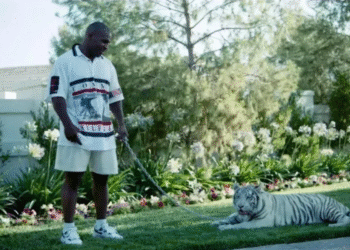 Mike Tyson tinha tigres de estimação de 70 mil dólares