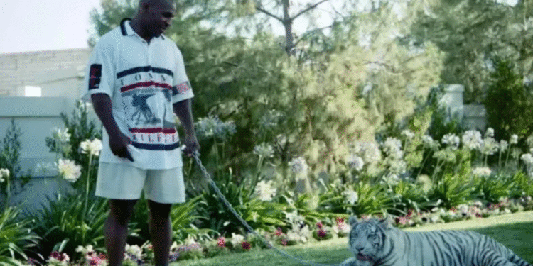 Mike Tyson tinha tigres de estimação de 70 mil dólares