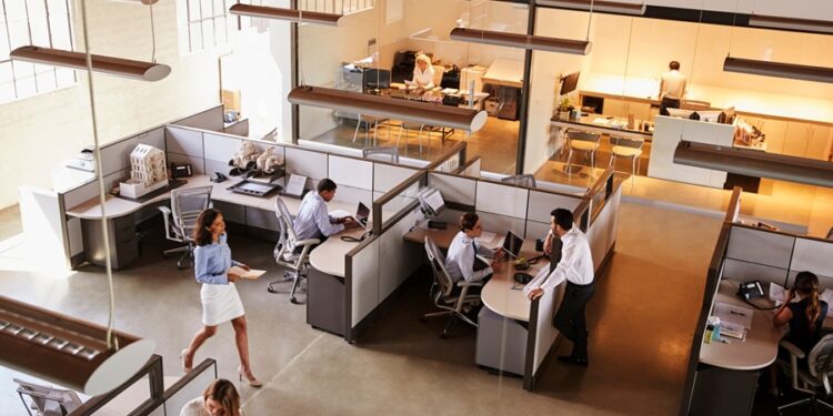 11 empresas mais velhas do Brasil que seguem abertas até hoje