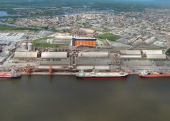 Gigante do agro vai construir um novo porto de R$ 3 bilhões no Brasil