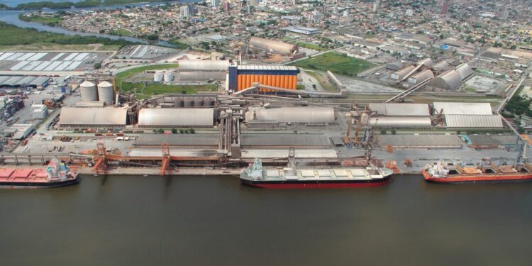 Gigante do agro vai construir um novo porto de R$ 3 bilhões no Brasil