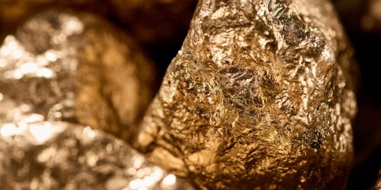 Planta produtora de ouro vira alternativa que traz dinheiro no seu jardim