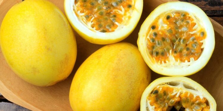 Primeiro shopping chega na Capital Brasileira do Maracujá gerando 600 empregos