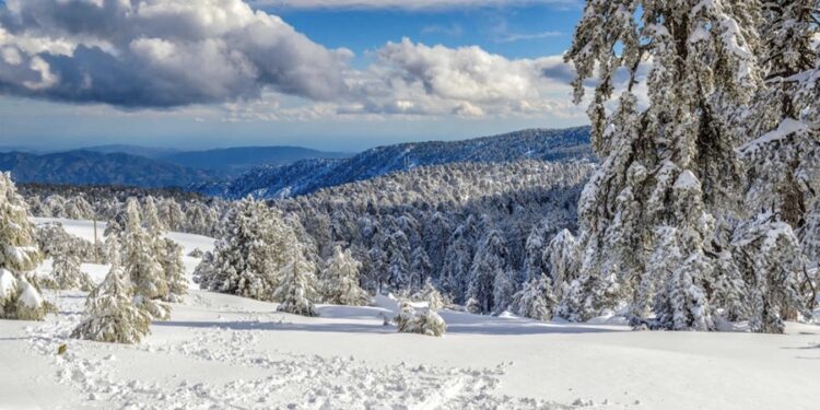 Qual foi a menor temperatura já marcada no planeta Terra?