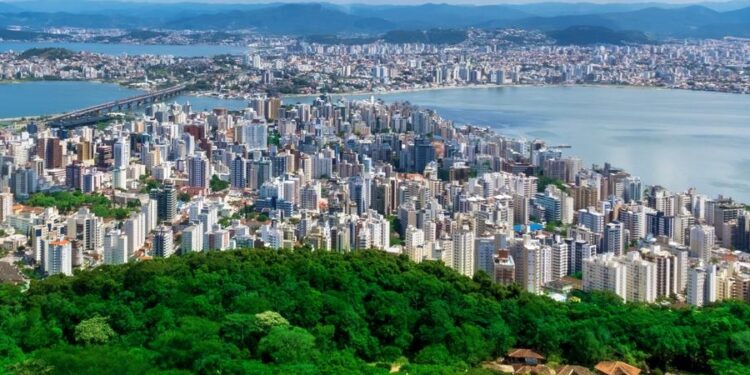 Animal dado como extinto há 260 anos volta a ser visto em Florianópolis