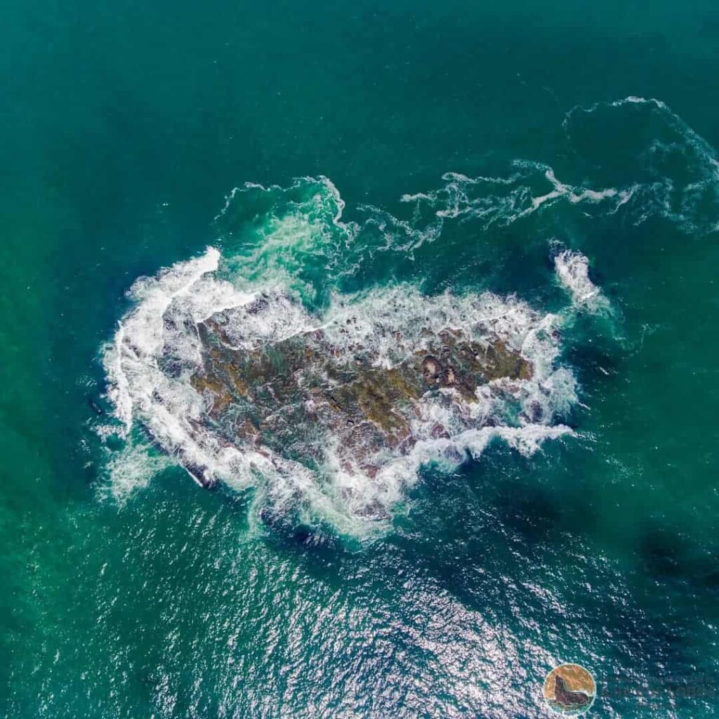 Ilha dos Lobos é reaberta para visitação