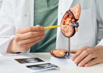 O que leva a insuficiência renal prejudicando o funcionamento dos rins?