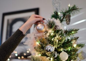 Créditos: Pexels