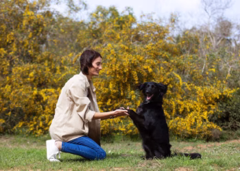 Psicologia manda recado para quem fala com animais como se fossem humanos