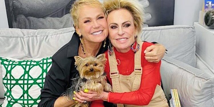 Enquanto Xuxa tem R$ 770 milhões, Ana Maria Braga possui fortuna de arrepiar