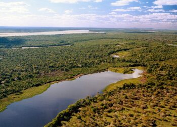 Maior ilha fluvial do mundo tem 20.000 quilômetros quadrados e fica no Brasil