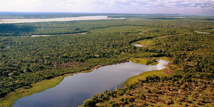 Maior ilha fluvial do mundo tem 20.000 quilômetros quadrados e fica no Brasil