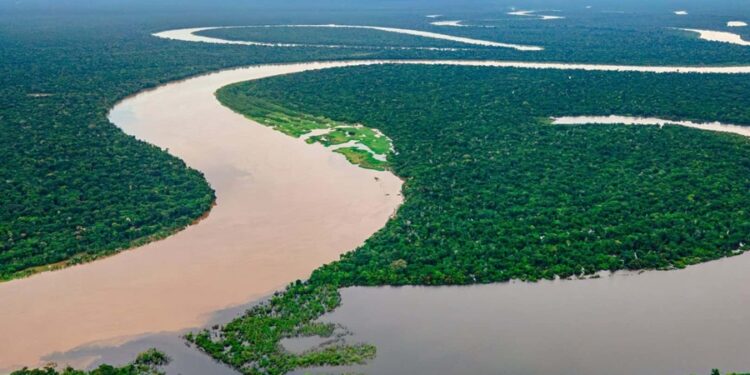 Nilo - Amazonas