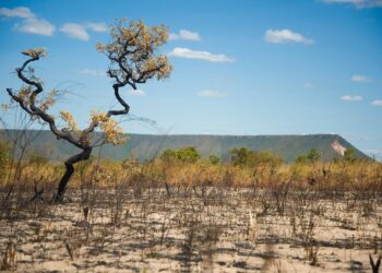 Região brasileira deve sofrer com falta de chuvas em dezembro