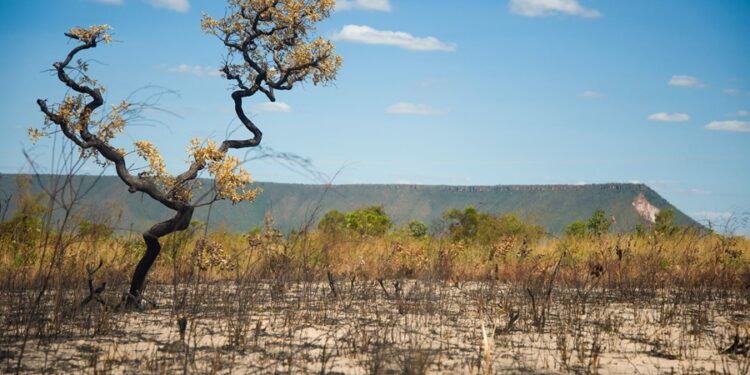 Região brasileira deve sofrer com falta de chuvas em dezembro