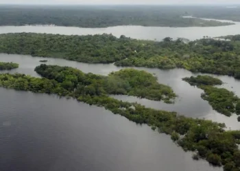 Cientista faz comunicado sobre pandemia sendo gerada na Amazônia