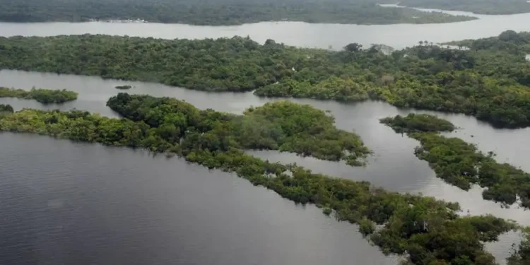 Cientista faz comunicado sobre pandemia sendo gerada na Amazônia