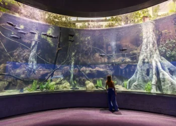 Cidade brasileira vive grande momento no turismo e inaugura o 2º maior aquário da América Latina