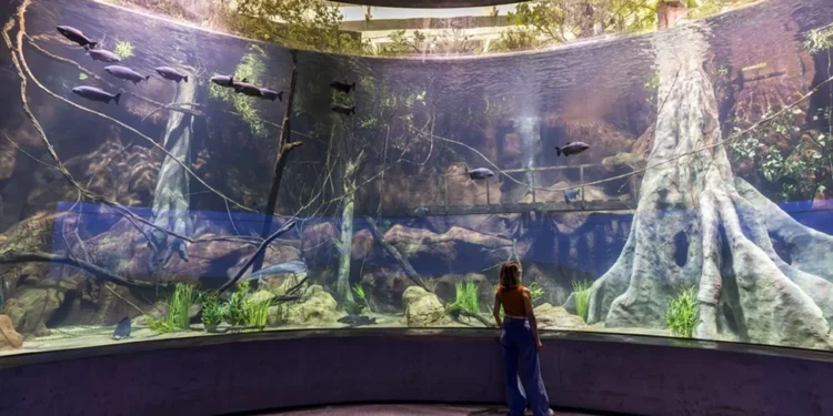 Cidade brasileira vive grande momento no turismo e inaugura o 2º maior aquário da América Latina
